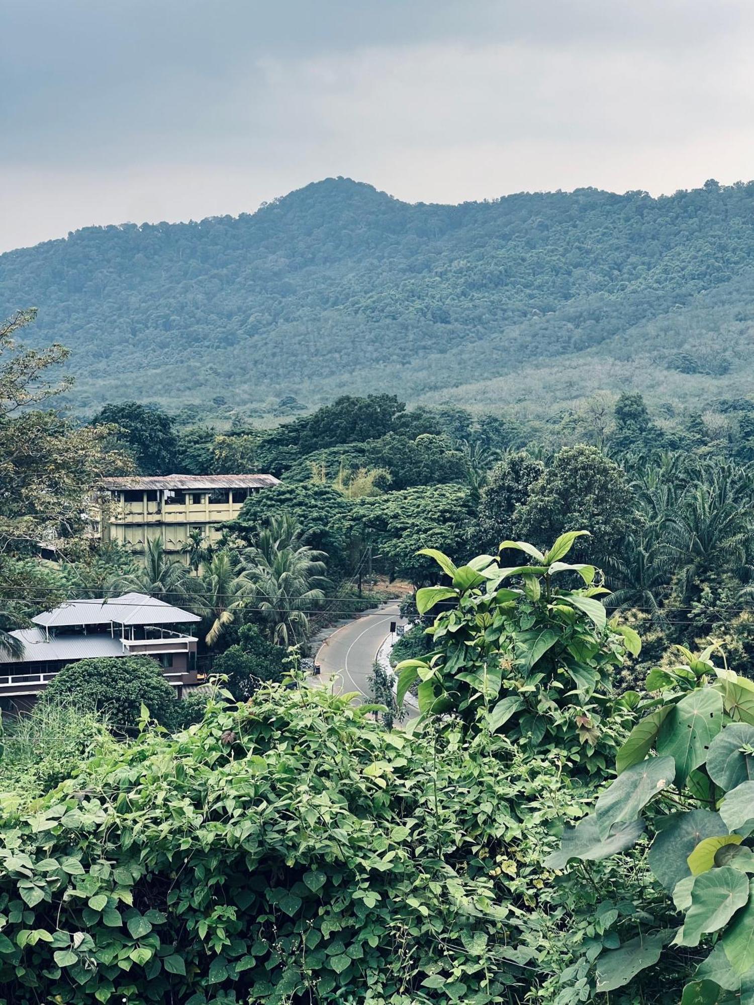 7Fort Homestay Athirappilly Exteriér fotografie